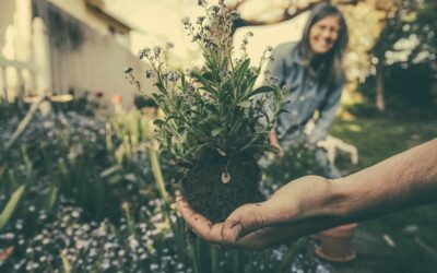 Les habitats collectifs engendrent-ils d’autres manières de répartir le Care ?