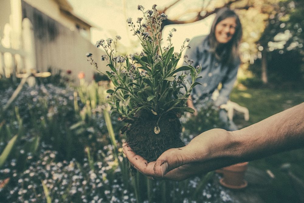 Les habitats collectifs engendrent-ils d’autres manières de répartir le Care ?